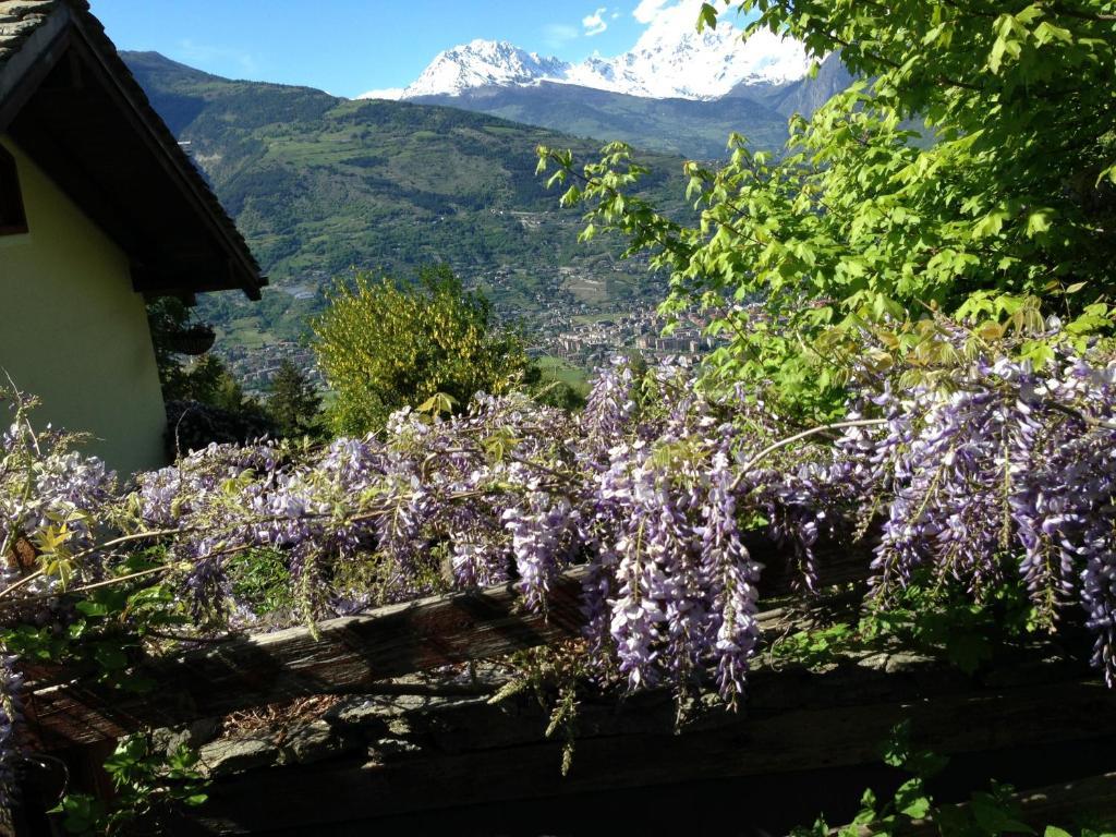 Il Giardino Dell'Artemisia Villa Pila  Exterior foto